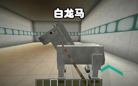 我的世界什么马最快