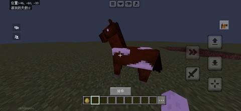 我的世界什么马最快[图2]
