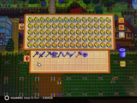 星露谷物语怎么卖钱[图1]