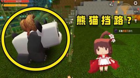 迷你世界怎么让熊猫生孩子