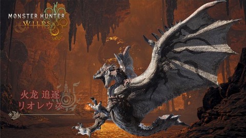 怪物猎人4g火龙怎么打[图2]