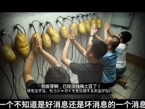 火影忍者土豆怎么下载[图1]