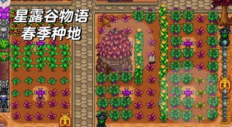 星露谷物语什么最赚钱